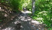 Trail Walking Sallanches - doran - Photo 7