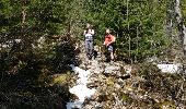 Trail Walking Sallanches - doran - Photo 4