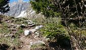 Trail Walking Sallanches - doran - Photo 2