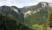 Trail Walking Fillière - plateau des Glières par le pas du Roc - Photo 2