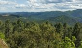 Tocht Andere activiteiten Portes - col de porte - Photo 4