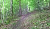 Trail Walking Viroinval - marche nordique vierve - Photo 5