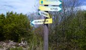 Tour Wandern Vallées-d'Antraigues-Asperjoc - Mazoyer  Antraigues sur Volanne - Photo 3