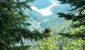 Randonnée Marche Wildenstein - rothenbach Wildenstein col du pourri Faing col de Bramont tourbières de machais, lac de blanchemer - Photo 2
