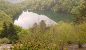 Excursión Senderismo Storckensohn - lacs des Vosges du sud - Photo 1