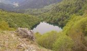 Trail Walking Storckensohn - lacs des Vosges du sud - Photo 16