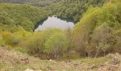 Excursión Senderismo Storckensohn - lacs des Vosges du sud - Photo 17