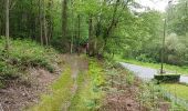 Tour Wandern Les Essarts-le-Roi - rando du 26/05/2016 - Photo 20