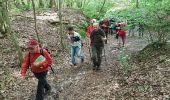 Trail Walking Les Essarts-le-Roi - rando du 26/05/2016 - Photo 7