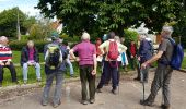 Tour Wandern Les Essarts-le-Roi - rando du 26/05/2016 - Photo 2