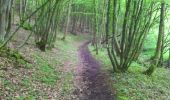 Trail Walking Viroinval - marche nordique vierve - Photo 10