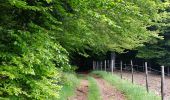 Trail Walking Gumières - Boucle du col de Baracuchet - Photo 3