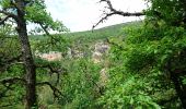 Tour Wandern Monieux - Le champ de Sicaude - Photo 4