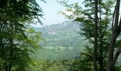 Tour Wandern Roquefixade - 02 - ROQUEFIXADE à MONTSEGUR -  Chemin des Bons-Hommes GR107 ou sentier cathare 367 - Photo 7