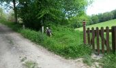 Trail Walking Roquefixade - 02 - ROQUEFIXADE à MONTSEGUR -  Chemin des Bons-Hommes GR107 ou sentier cathare 367 - Photo 6