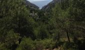 Trail Walking Marseille - Calanques de Morgiou retour par les crêtes de Morgiou - Photo 1