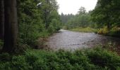 Tour Wandern Raeren - Luik - 2016-06-04 Raeren - Staatswald Oberweser - Eschbach - Reinartzhof - Steinbach - Photo 6