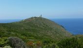 Trail Walking Centuri - Port de Centuri - Cannelle - Moulin Cap Corse - Chemin douanier - Photo 10