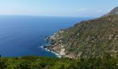 Randonnée Marche Centuri - Port de Centuri - Cannelle - Moulin Cap Corse - Chemin douanier - Photo 8