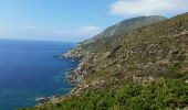 Trail Walking Centuri - Port de Centuri - Cannelle - Moulin Cap Corse - Chemin douanier - Photo 7