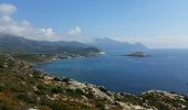 Randonnée Marche Centuri - Port de Centuri - Cannelle - Moulin Cap Corse - Chemin douanier - Photo 6