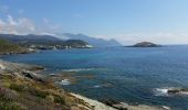 Trail Walking Centuri - Port de Centuri - Cannelle - Moulin Cap Corse - Chemin douanier - Photo 5