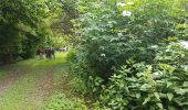 Trail Nordic walking Mantes-la-Jolie -  ile l Aumône 10/06/2016 - Photo 17