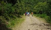 Trail Walking Argelès-sur-Mer - Tour de Massane - Photo 13