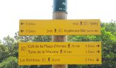 Trail Walking Argelès-sur-Mer - Tour de Massane - Photo 12