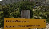 Percorso Marcia Argelès-sur-Mer - Tour de Massane - Photo 6