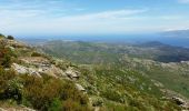 Trail Walking San-Gavino-di-Tenda - Monte Astu - Photo 17