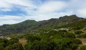 Trail Walking San-Gavino-di-Tenda - Monte Astu - Photo 13