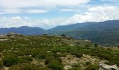 Trail Walking San-Gavino-di-Tenda - Monte Astu - Photo 12