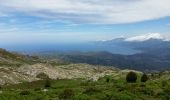 Trail Walking San-Gavino-di-Tenda - Monte Astu - Photo 10