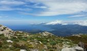 Trail Walking San-Gavino-di-Tenda - Monte Astu - Photo 9