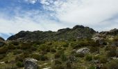 Trail Walking San-Gavino-di-Tenda - Monte Astu - Photo 8