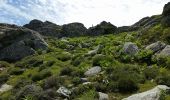 Trail Walking San-Gavino-di-Tenda - Monte Astu - Photo 7
