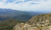 Trail Walking San-Gavino-di-Tenda - Monte Astu - Photo 5