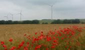 Tour Fahrrad Mailly-le-Camp - de Mailly-le-camp à chelles - Photo 1