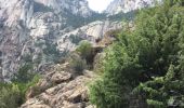 Trail Walking Quenza - cascade purcaraccia - Photo 3