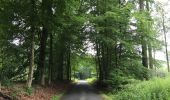 Trail Walking Hoeilaart - Soignes Juin 2016 - Photo 3