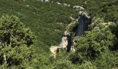 Tour Wandern Lussan - Les Concluses à partir de Prade - Photo 13