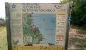 Randonnée Marche Le Marin - GabyG. Cap Macré/Cap beauchêne. - Photo 5