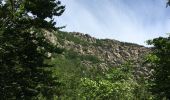Trail Walking Laviolle - laviolle les roches Aubert - Photo 4