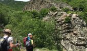 Trail Walking Laviolle - laviolle les roches Aubert - Photo 3