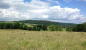 Tour Wandern Érezée - chateau ferme de fisenne Soy Erezée - Photo 9