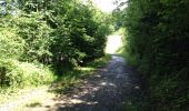 Randonnée Marche Érezée - chateau ferme de fisenne Soy Erezée - Photo 7