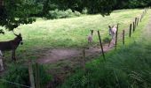 Randonnée Marche Érezée - chateau ferme de fisenne Soy Erezée - Photo 4