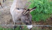 Tocht Stappen Érezée - chateau ferme de fisenne Soy Erezée - Photo 3