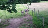 Randonnée Marche Érezée - chateau ferme de fisenne Soy Erezée - Photo 2